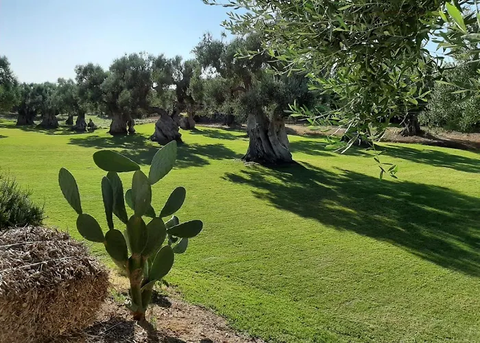 Masseria Anticalama Resort&agriturismo Fasano